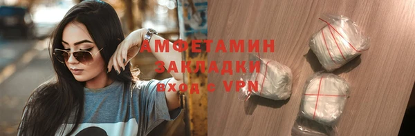 мет Алексин