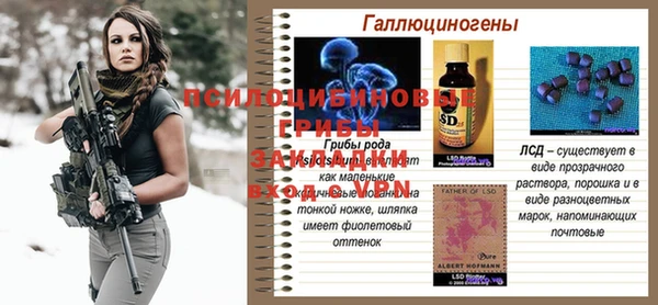 мет Алексин