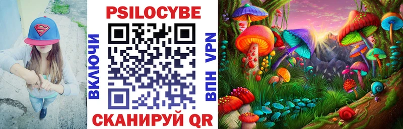 Галлюциногенные грибы прущие грибы  Цимлянск 